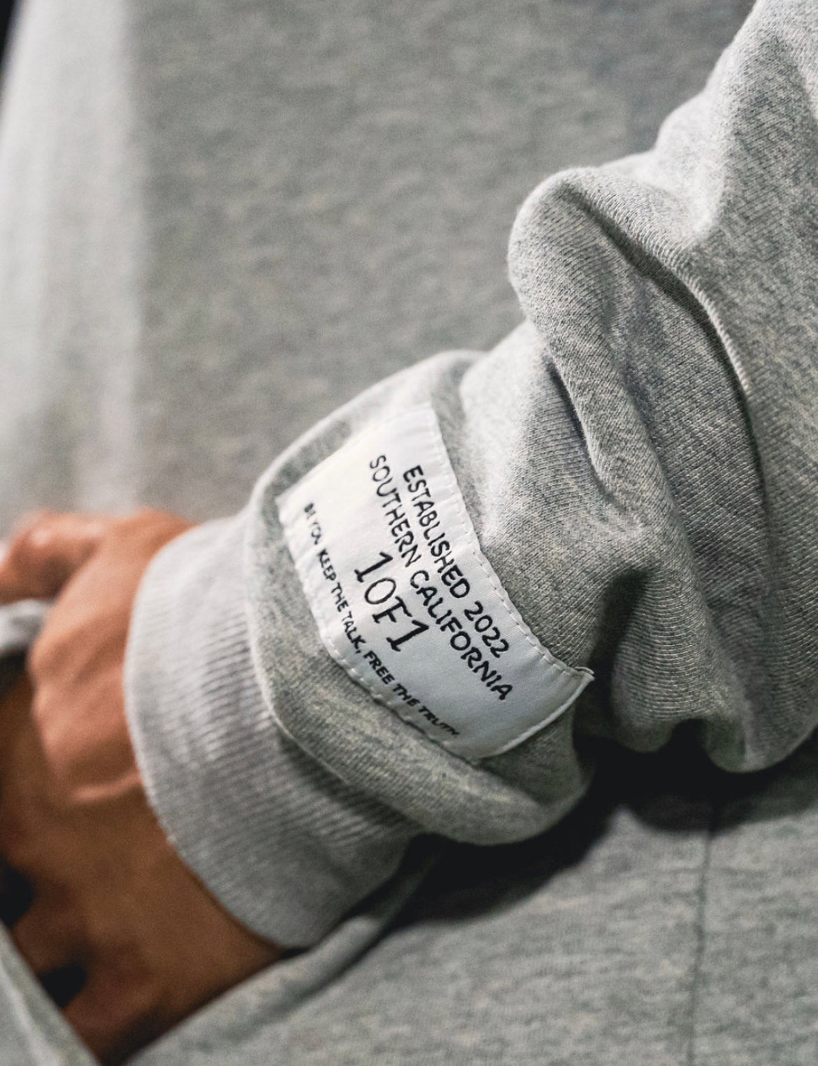 1 of 1 Hoodie CROPPED