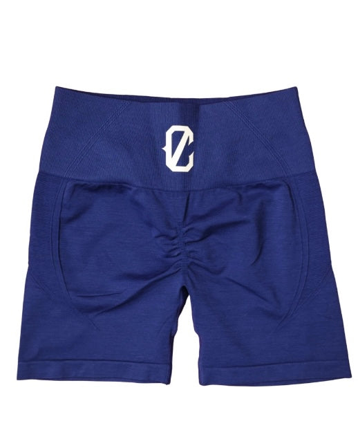 Womens Signature Gym Shorts BLUE